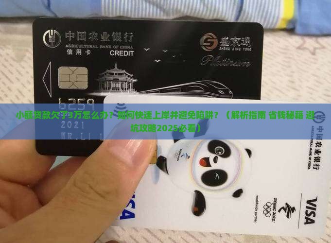 小额贷款欠了3万