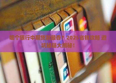 哪个银行有中期期贷款