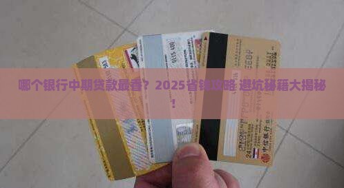 哪个银行有中期期贷款