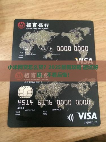 小米网贷怎么贷款的啊