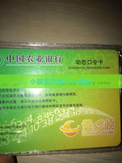 小额贷款能分24期的