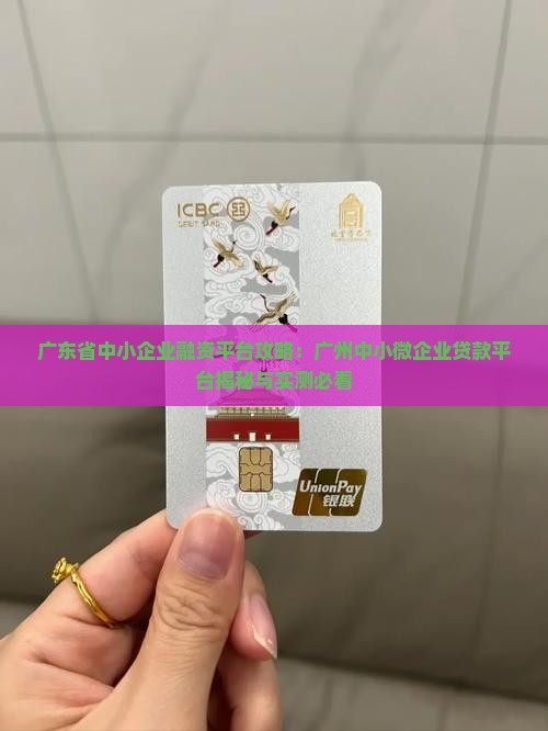 广州中小微企业贷款平台