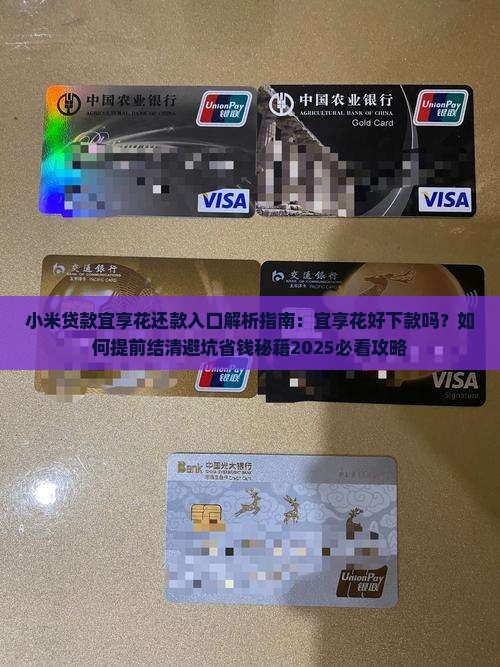 小米贷款宜享花还款入口