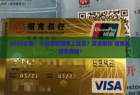 小额贷款有哪些家上征信