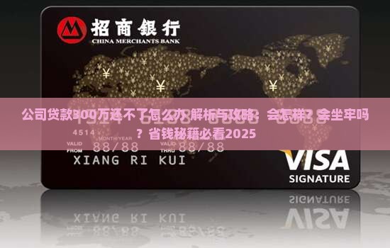 公司贷款300万还不了