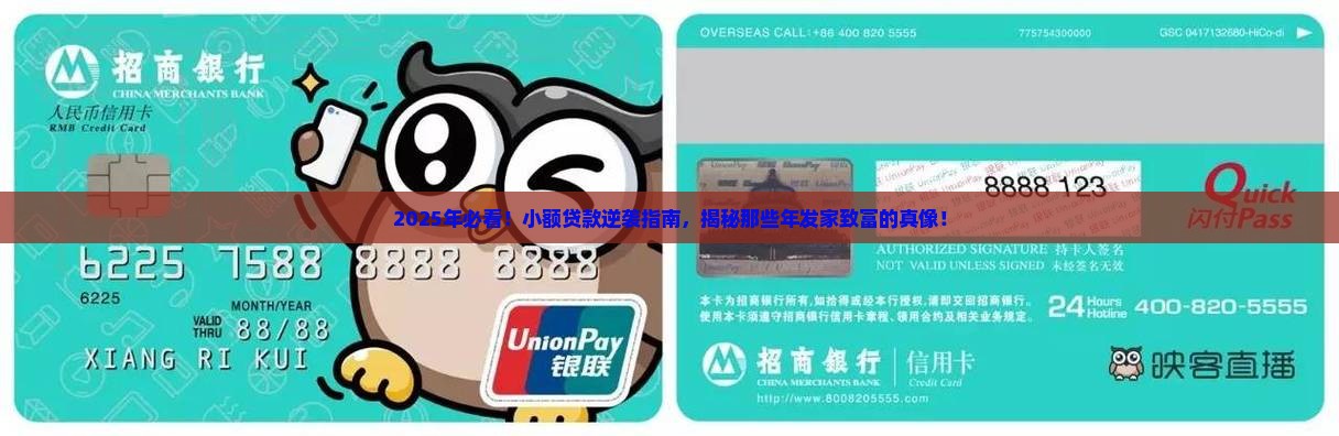 小额贷款发家致富的人