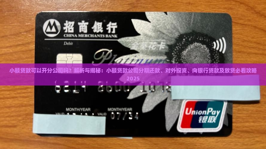 小额贷款可以开分公司吗 小额贷款可以开分公司吗