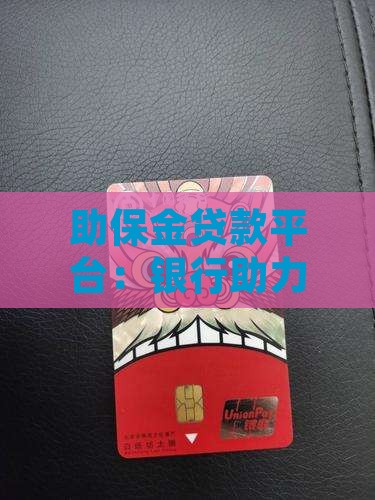 助保金贷款平台