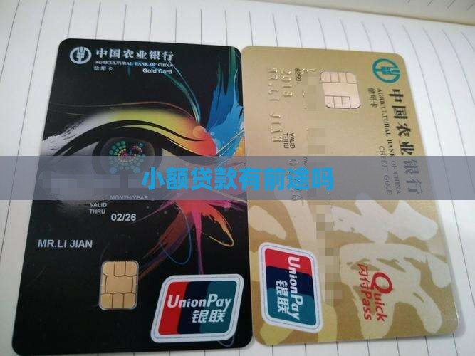 做小额贷款有前途吗