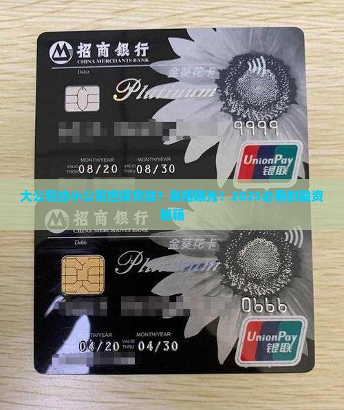 大公司给小公司担保贷款