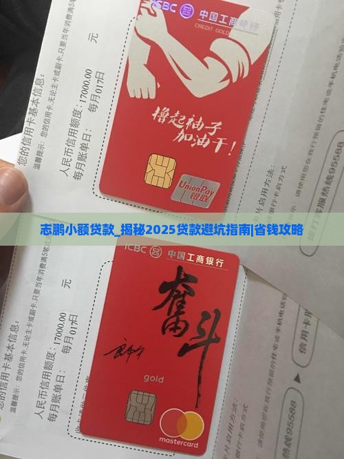 志鹏小额贷款