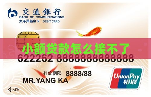 小额贷款怎么接不了