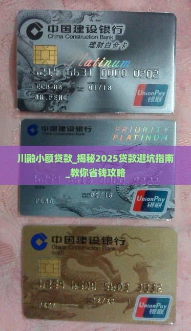 川融小额贷款