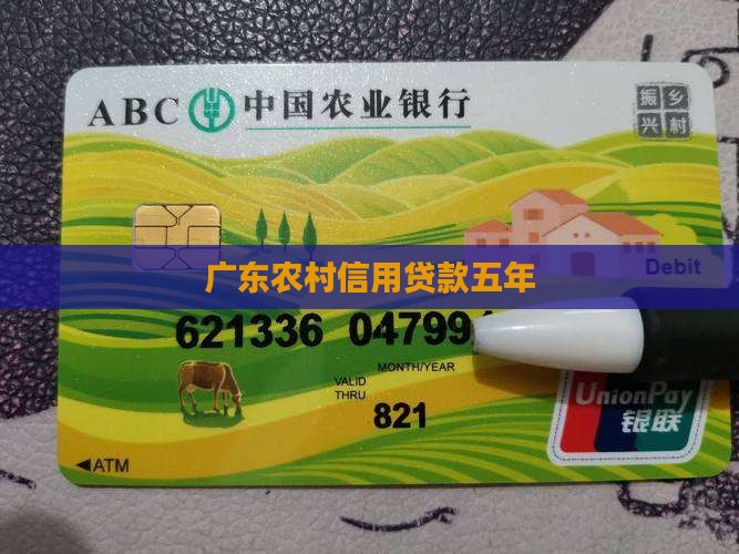 广东农村信用社消费易贷款五年