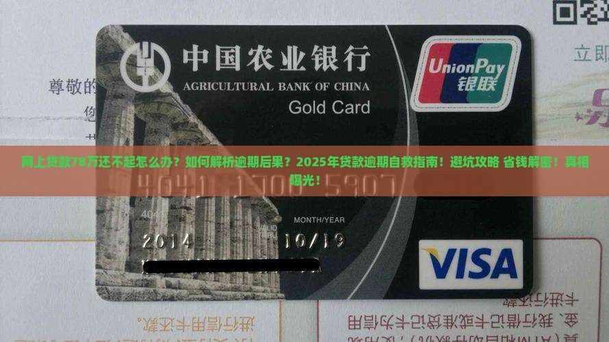 网上贷款78万没办法还