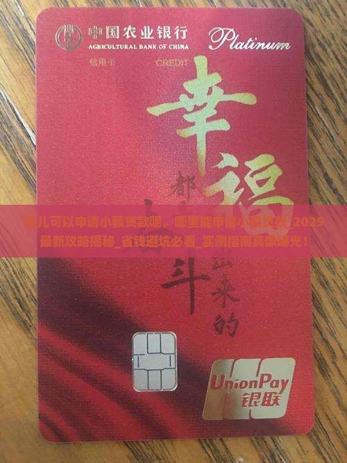 哪儿可以申请小额贷款呢