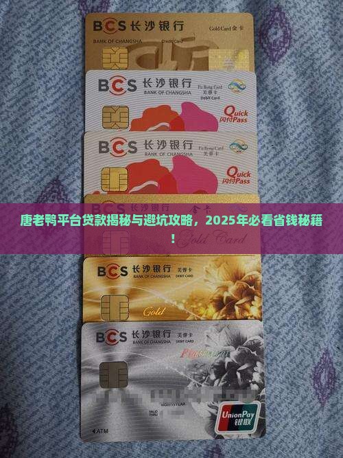 唐老鸭平台贷款
