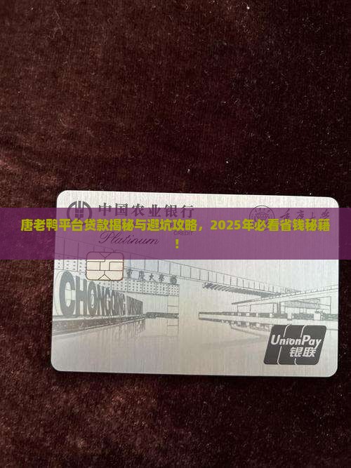 唐老鸭平台贷款