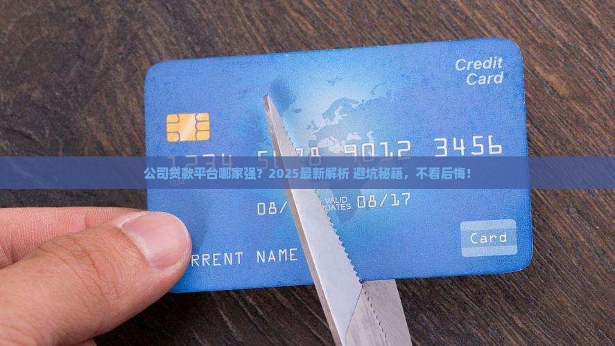 公司都有什么平台贷款
