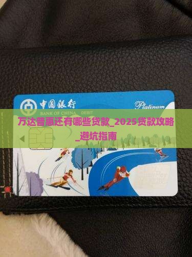 万达普惠还有哪些贷款