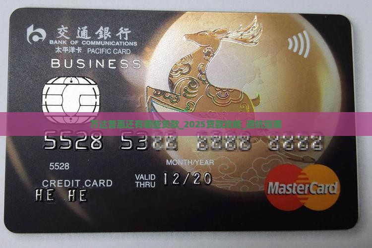 万达普惠还有哪些贷款