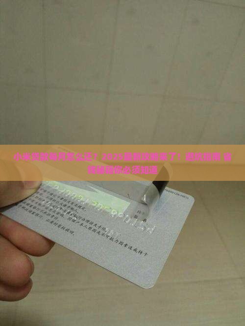 小米贷款每月