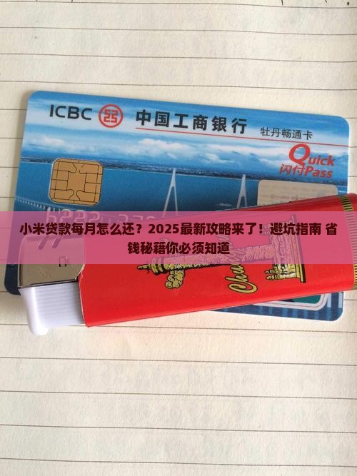 小米贷款每月
