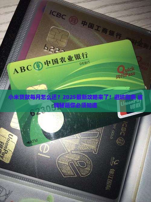 小米贷款每月