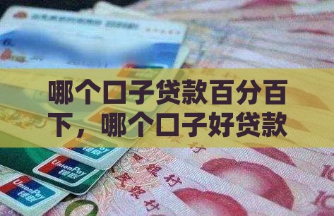 哪个口子贷款百分百下