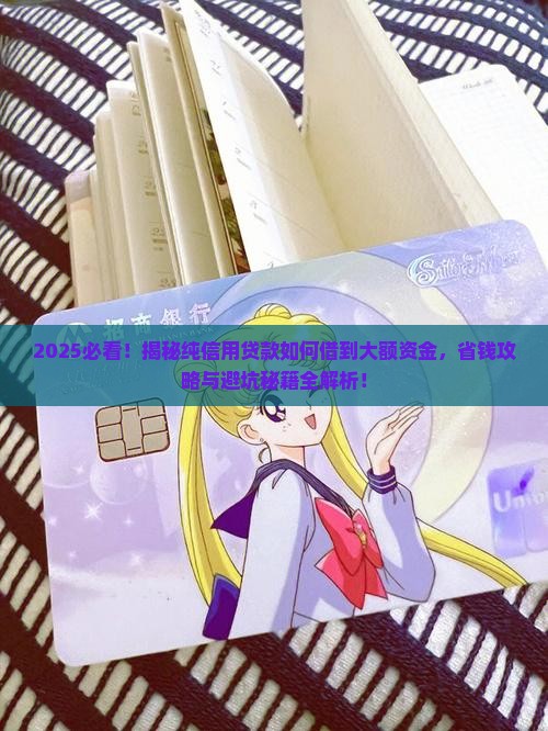 可以借大额的纯信用贷款