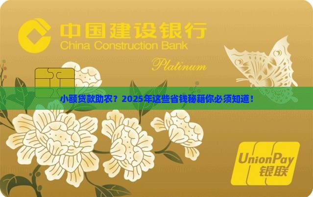 小额贷款助农