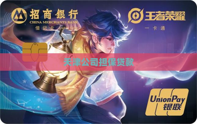 天津个人找担保公司贷款