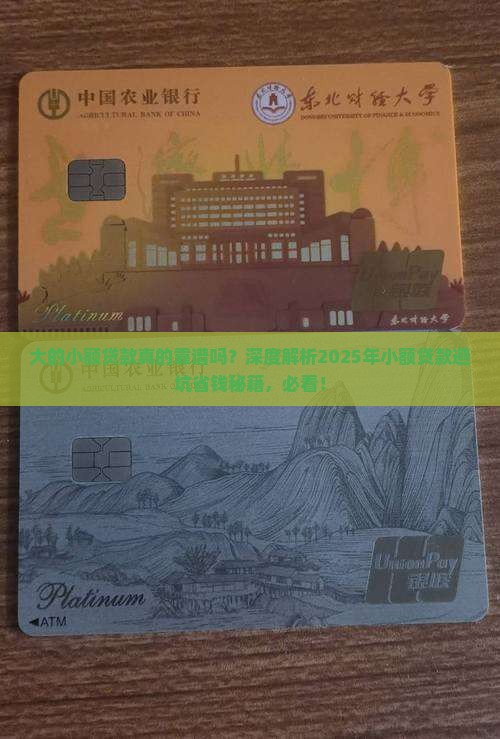 大的小额贷款
