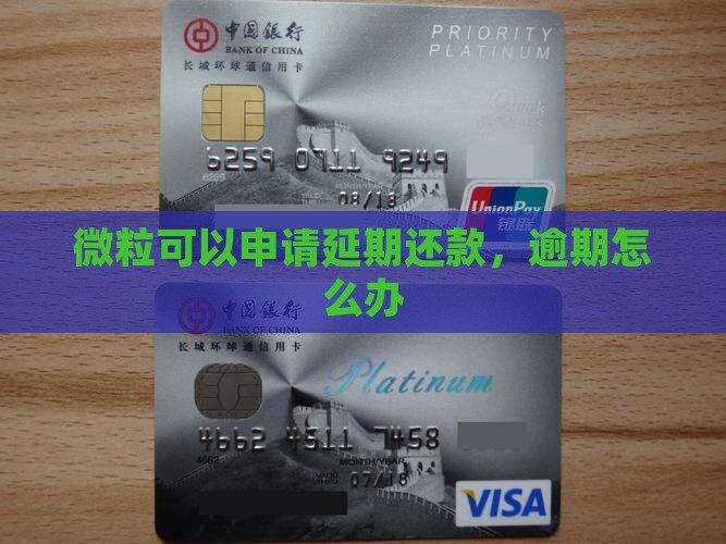 微粒贷贷款延期还款怎么申请