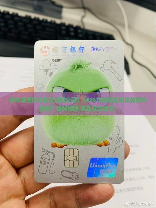 启东哪里有无息贷款的公司