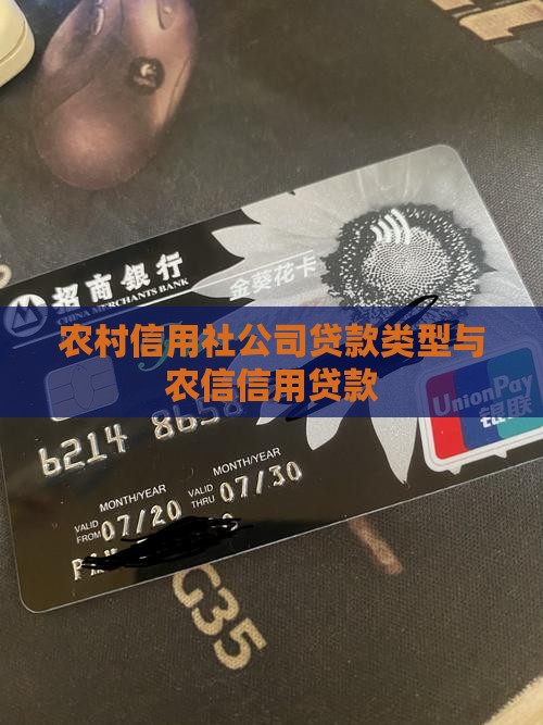 农信社公司贷款