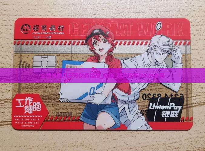 公司贷款几千万财务经理