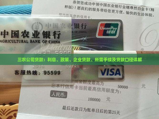 三农公司贷款