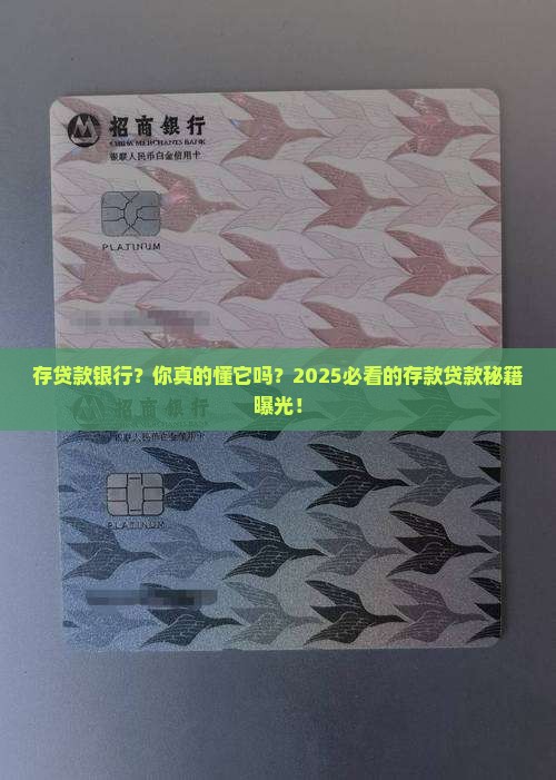 存贷款银行