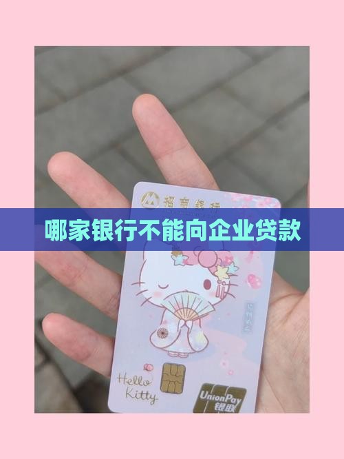 哪家银行不能向企业贷款