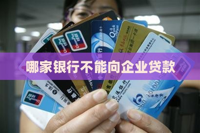 哪家银行不能向企业贷款