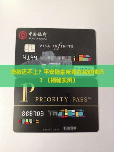 平安陆金所贷款还不上吗