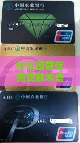 什么是经营信用贷款 什么是经营信用贷款