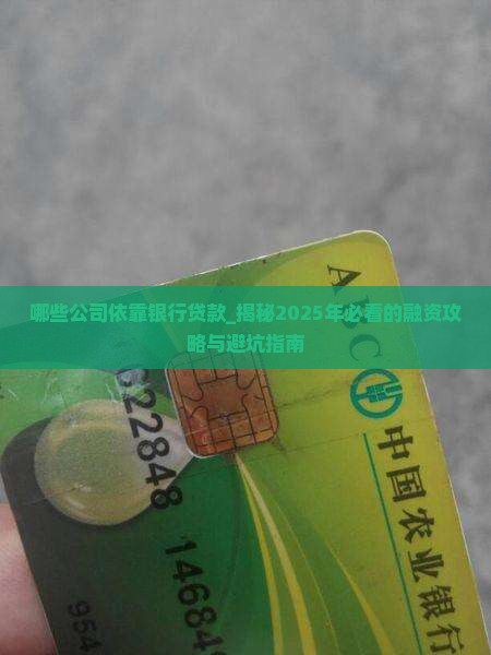 哪些公司依靠银行贷款