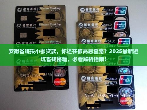 安徽省皖投小额贷款