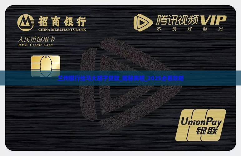 兰州银行给马大胡子贷款