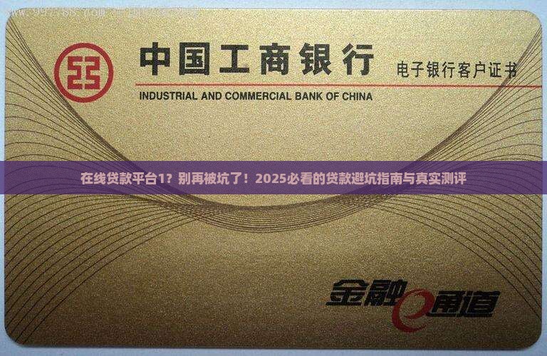 在线贷款平台1