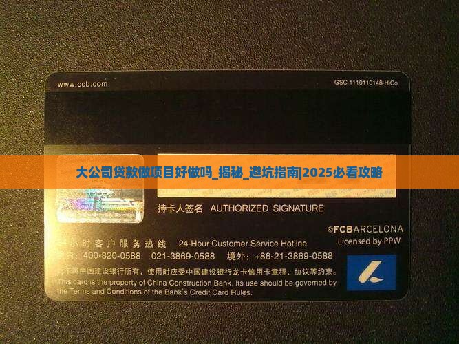 大公司贷款做项目好做吗