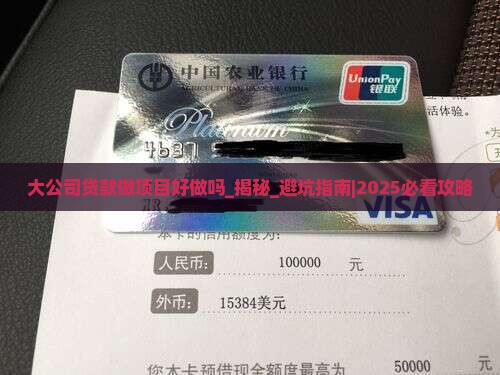 大公司贷款做项目好做吗