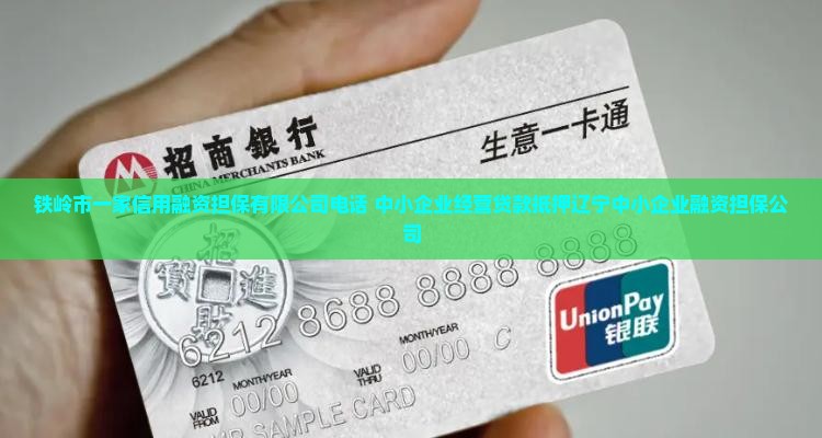 铁岭资产抵押贷款公司电话